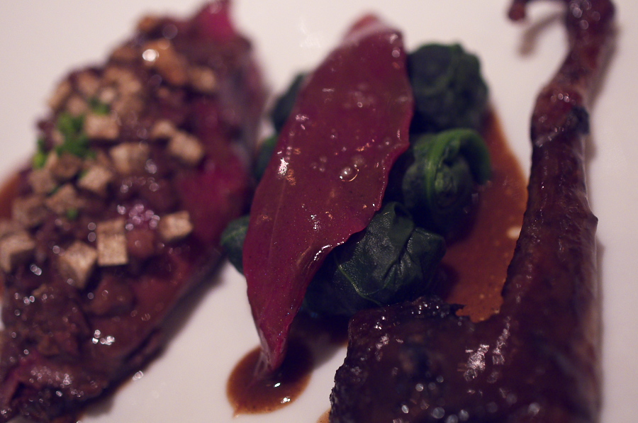 IMGP2312.jpg(255596 byte)