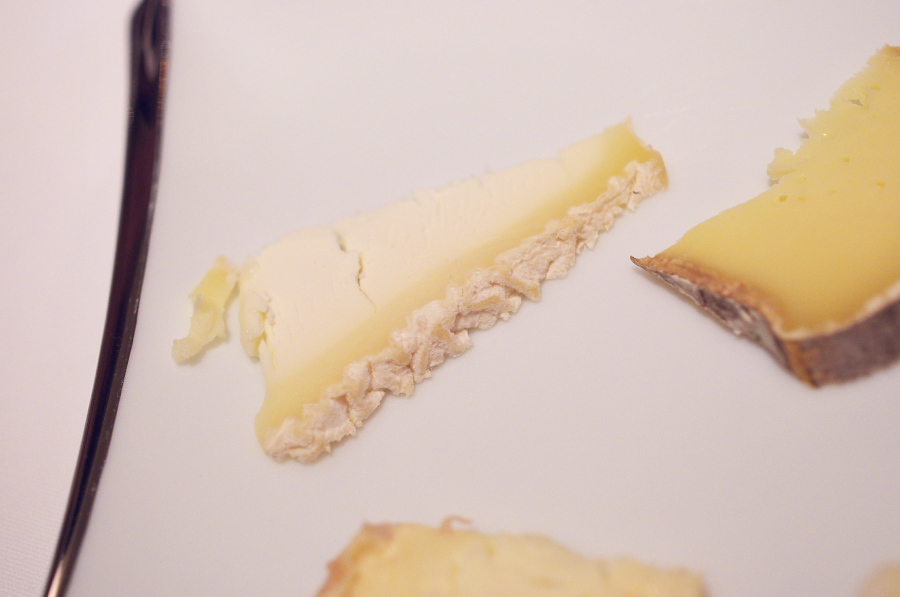 IMGP2328.jpg(190487 byte)