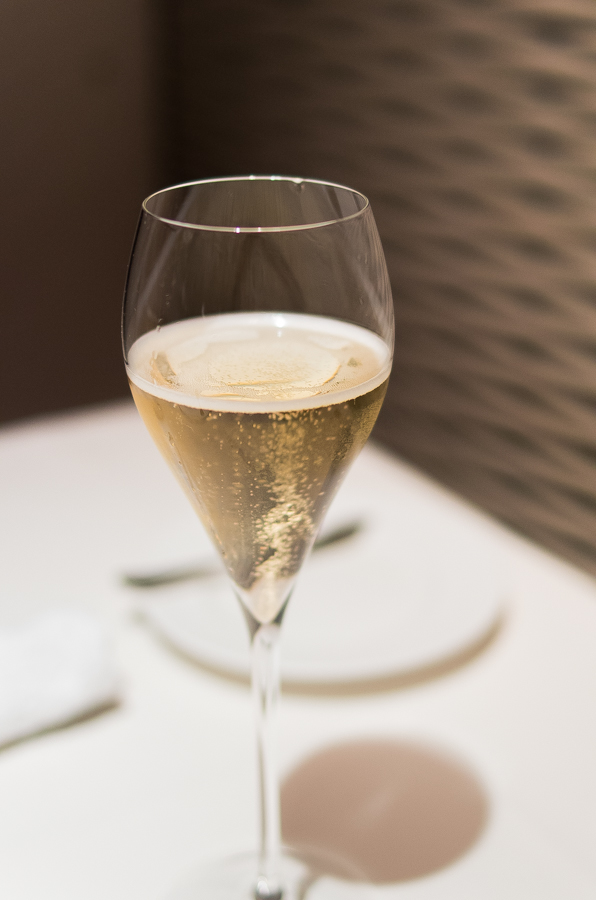 IMGP3663.jpg(274988 byte)