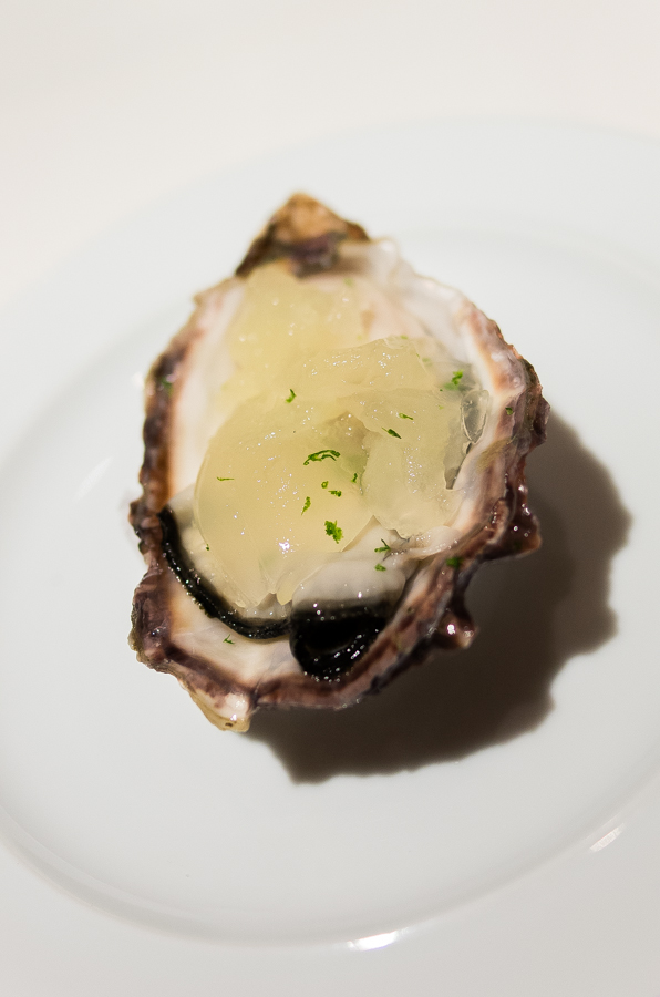 IMGP3678.jpg(269895 byte)