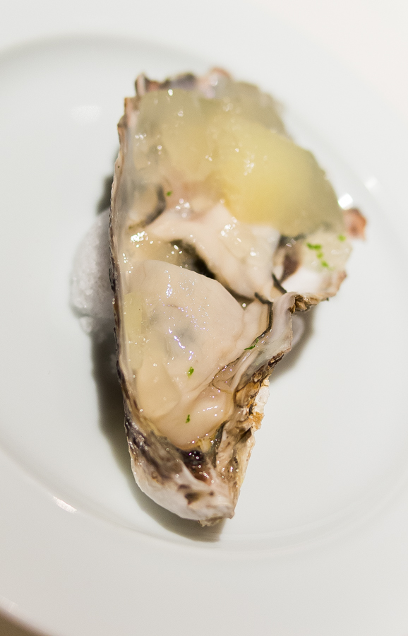 IMGP3692.jpg(275301 byte)