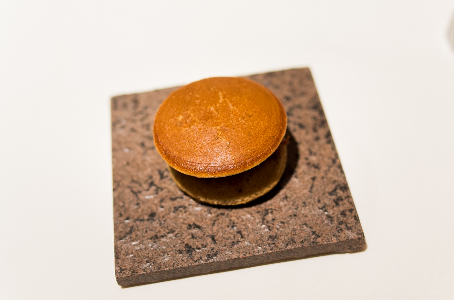 IMGP3696.jpg(306128 byte)