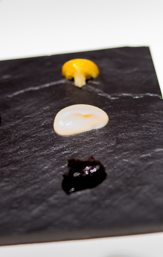 IMGP3718.jpg(317074 byte)