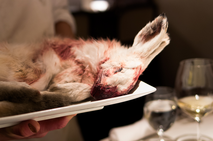 IMGP3755.jpg(351334 byte)