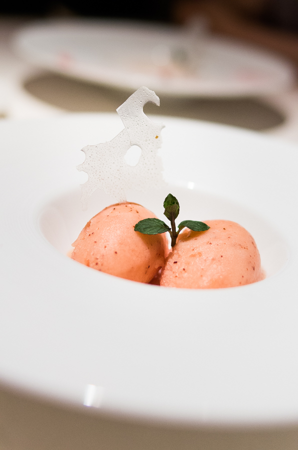 IMGP3847.jpg(278150 byte)