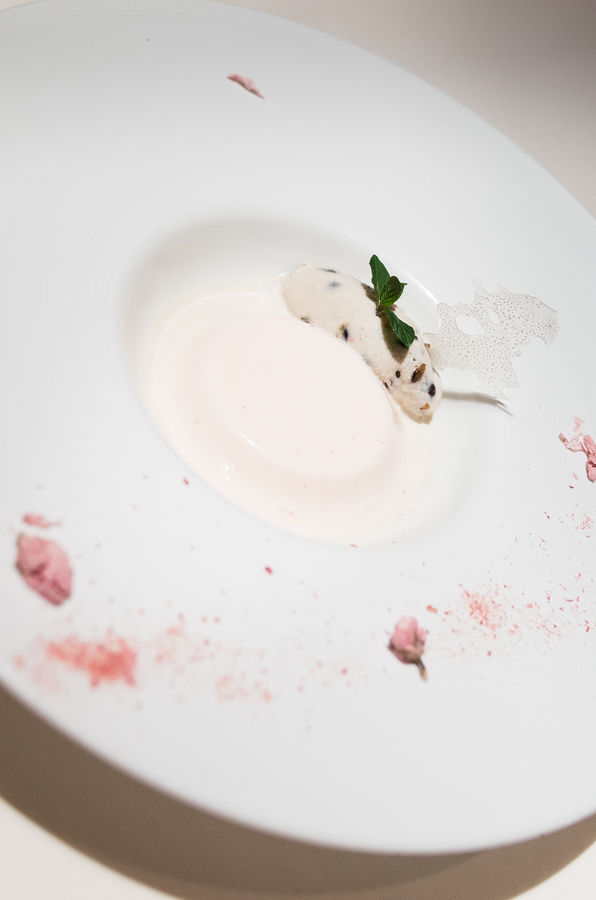 IMGP3869.jpg(245319 byte)