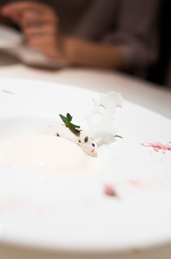 IMGP3871.jpg(230952 byte)