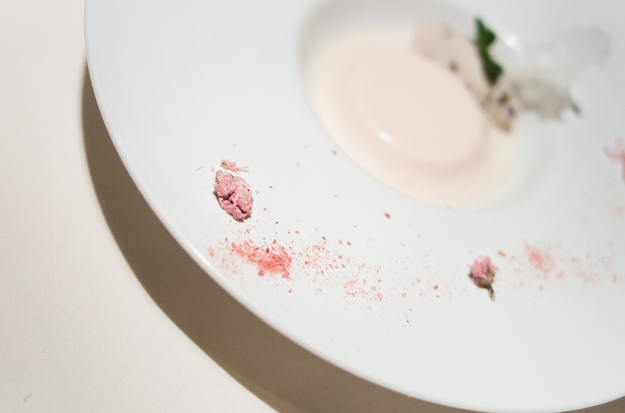 IMGP3873.jpg(263499 byte)