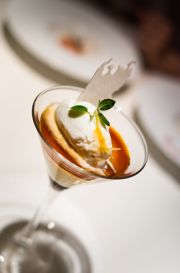 IMGP3884.jpg(320604 byte)