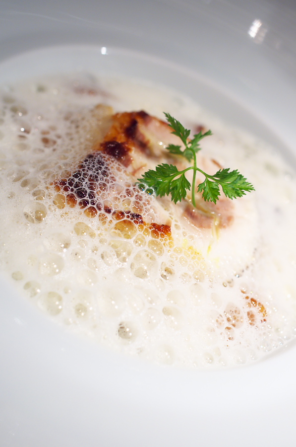 IMGP9140.jpg(212666 byte)