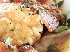 �^���̔��q