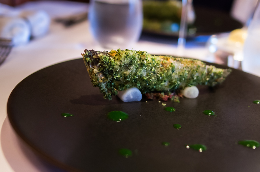 IMGP5117.jpg(284298 byte)