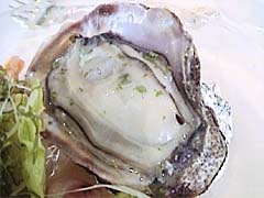 �O���̍K�T���_