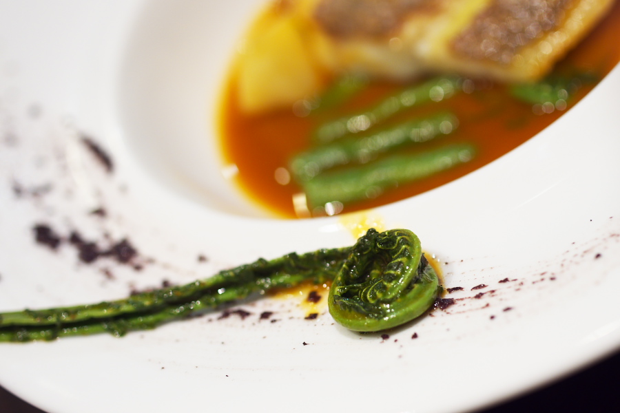 IMGP0406.jpg(166960 byte)