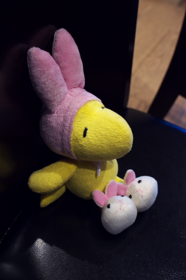 IMGP5508.jpg(204592 byte)