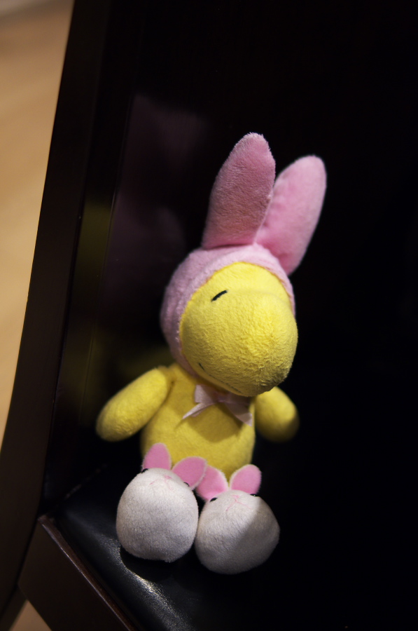 IMGP8388.jpg(153308 byte)