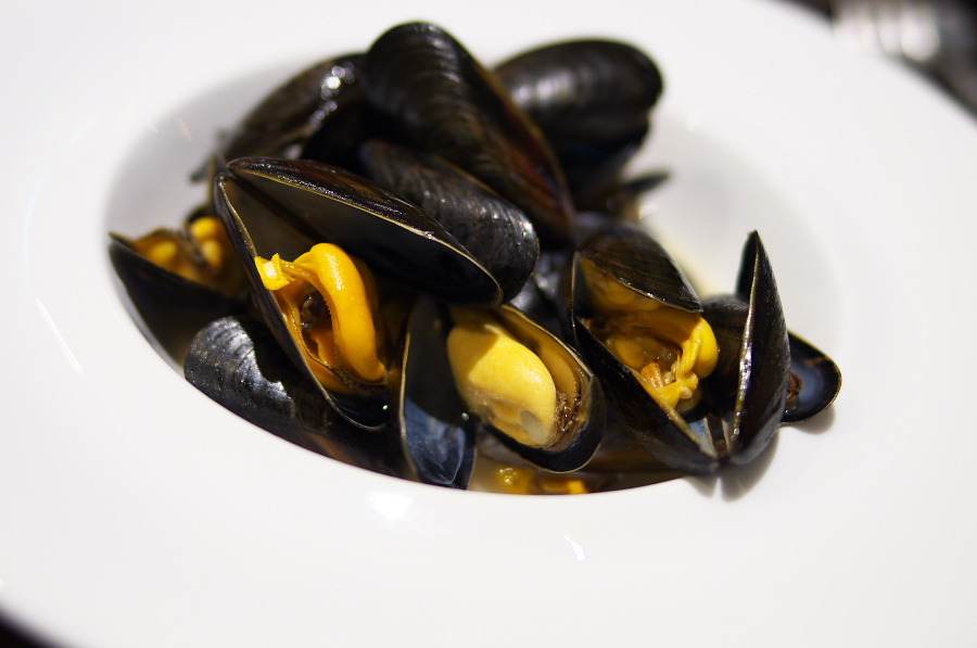 IMGP4903.jpg(162807 byte)