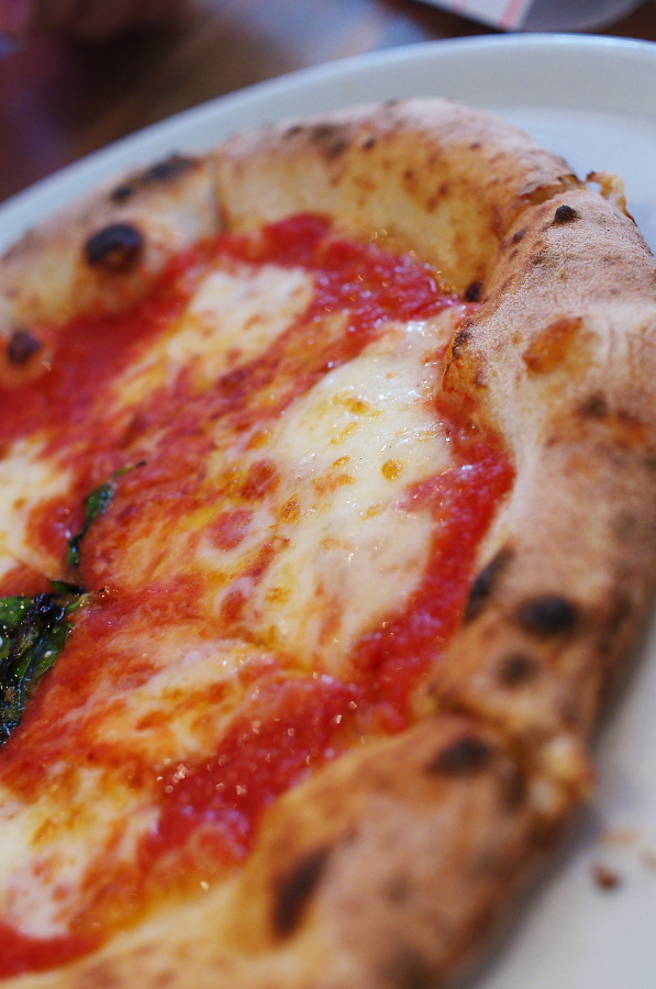 IMGP9736.jpg(288033 byte)