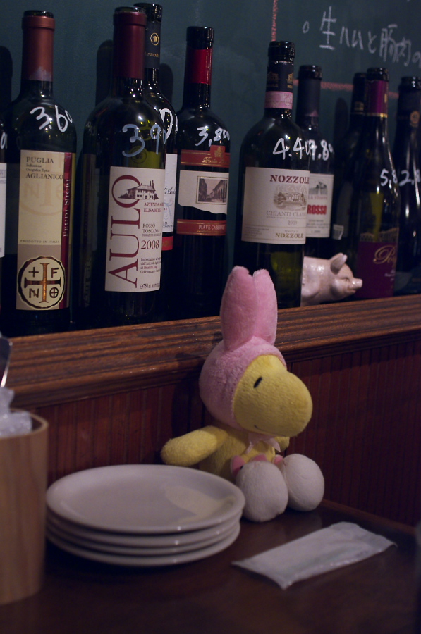 IMGP1617.jpg(251105 byte)