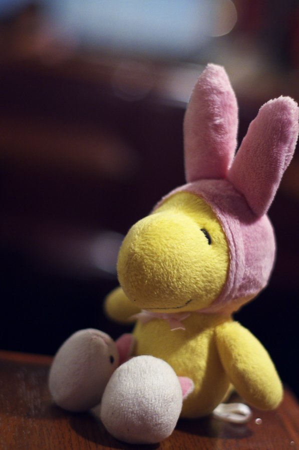 IMGP6482.jpg(233212 byte)