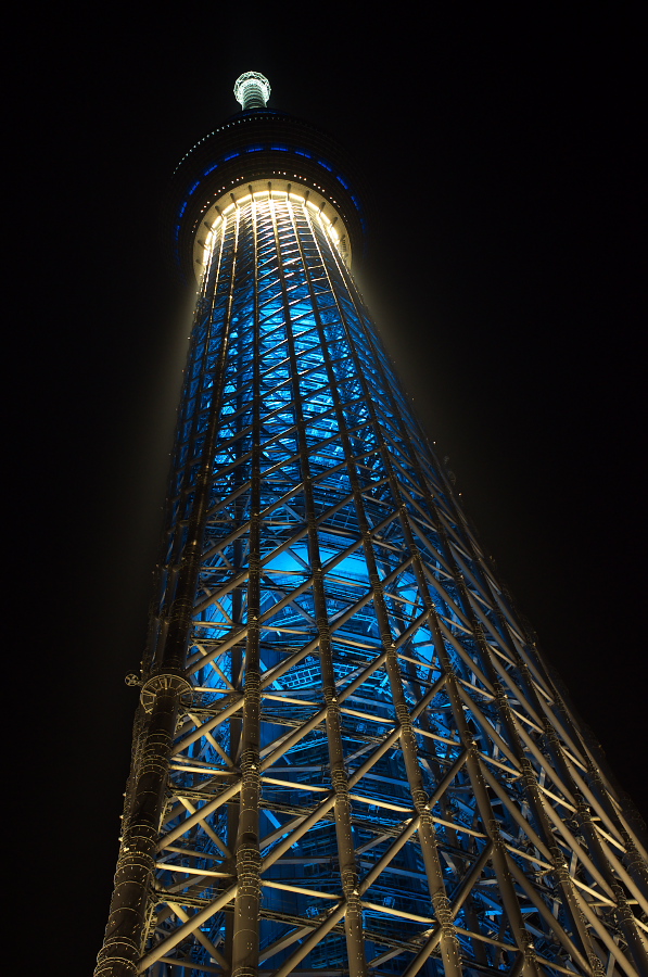 IMGP3306.jpg(357452 byte)