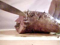 �q�r������