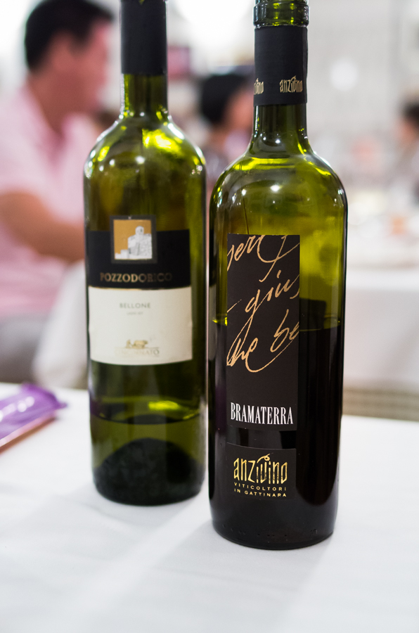 IMGP4954.jpg(308015 byte)