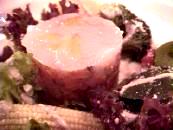 �T�[�����P