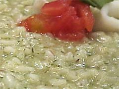 �o�W���R�̃��]�b�g