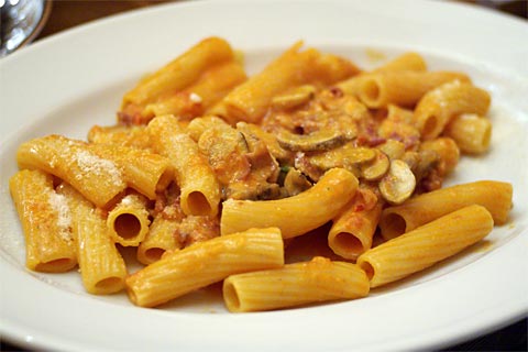 �p���}�Y���n���ƃ}�b�V�����[���̃G���R�C�_�[��