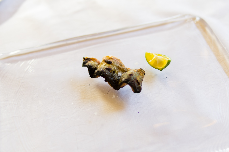 IMGP7818.jpg(177416 byte)