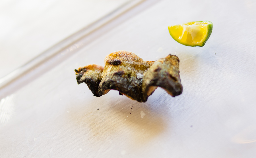 IMGP7821.jpg(187370 byte)