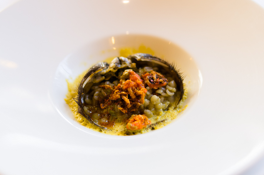 IMGP7869.jpg(173378 byte)