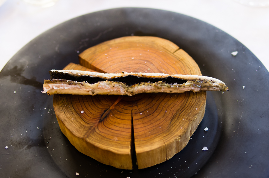 IMGP7892.jpg(271469 byte)