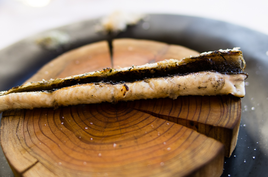 IMGP7902.jpg(275707 byte)