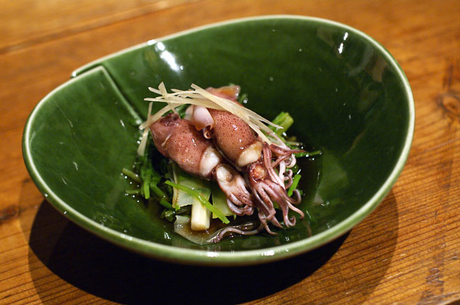 plate1-1.jpg(60968 byte)