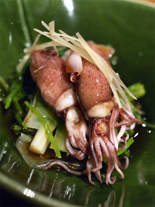 plate1-2.jpg(82019 byte)