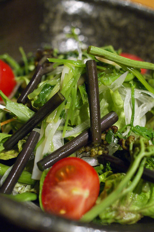 plate2-2.jpg(80336 byte)