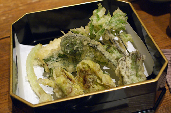 plate6-1.jpg(67115 byte)