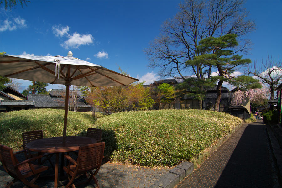 pic7.jpg(135006 byte)