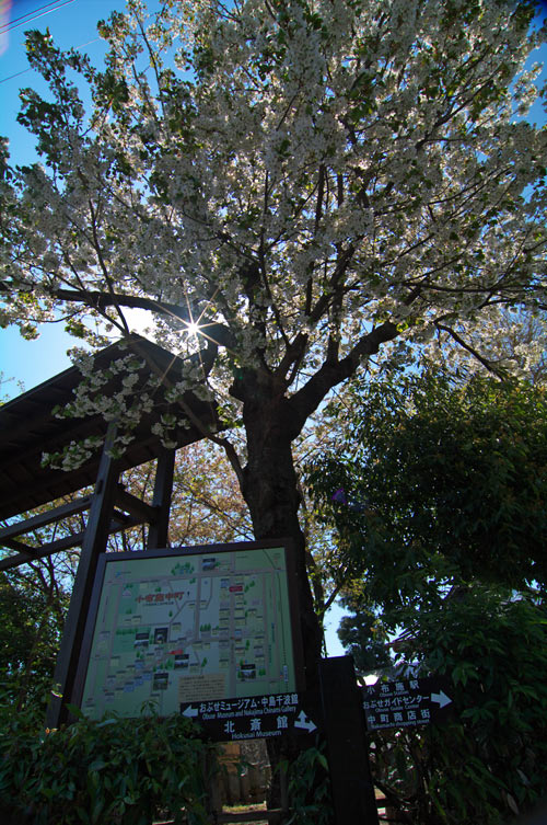 pic6.jpg(152748 byte)