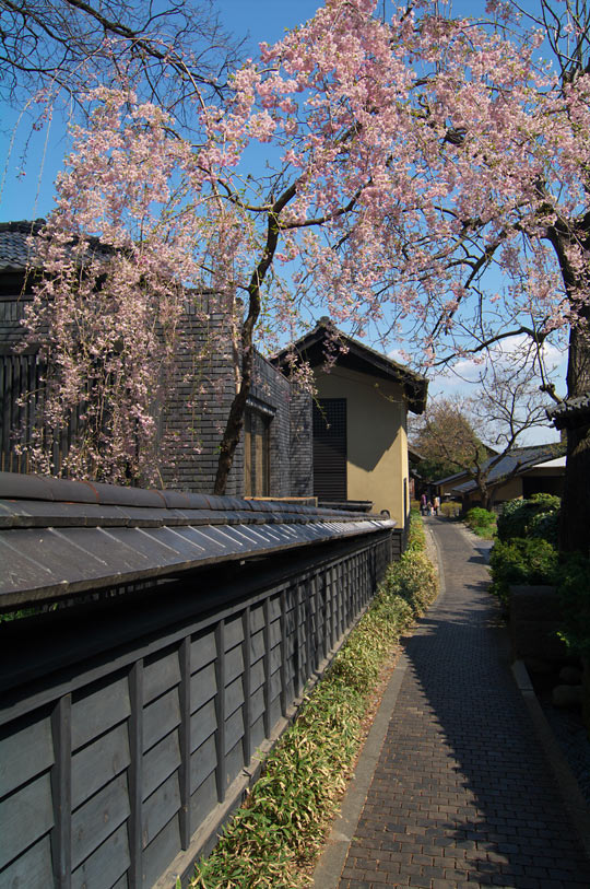 pic1.jpg(133065 byte)