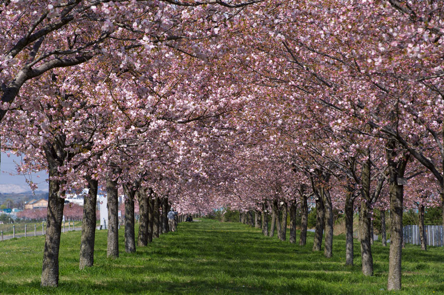 pic4.jpg(135897 byte)