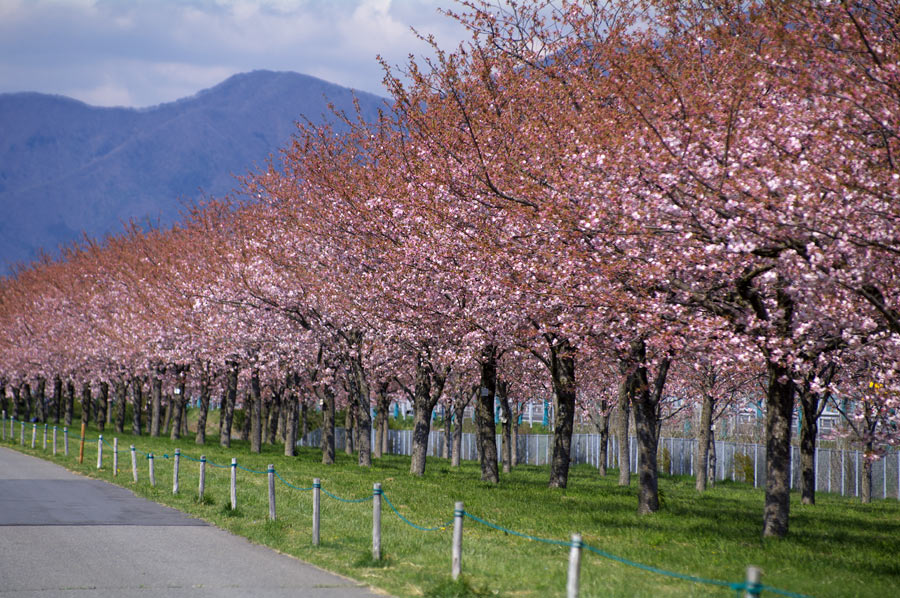 pic5.jpg(148723 byte)