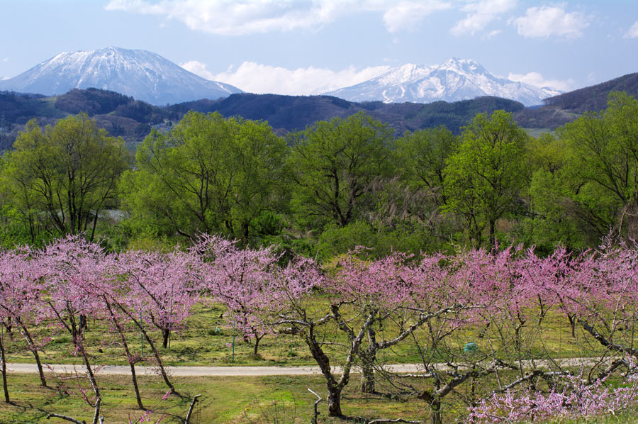 pic6.jpg(152748 byte)