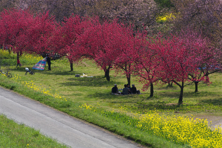 pic3.jpg(98777 byte)