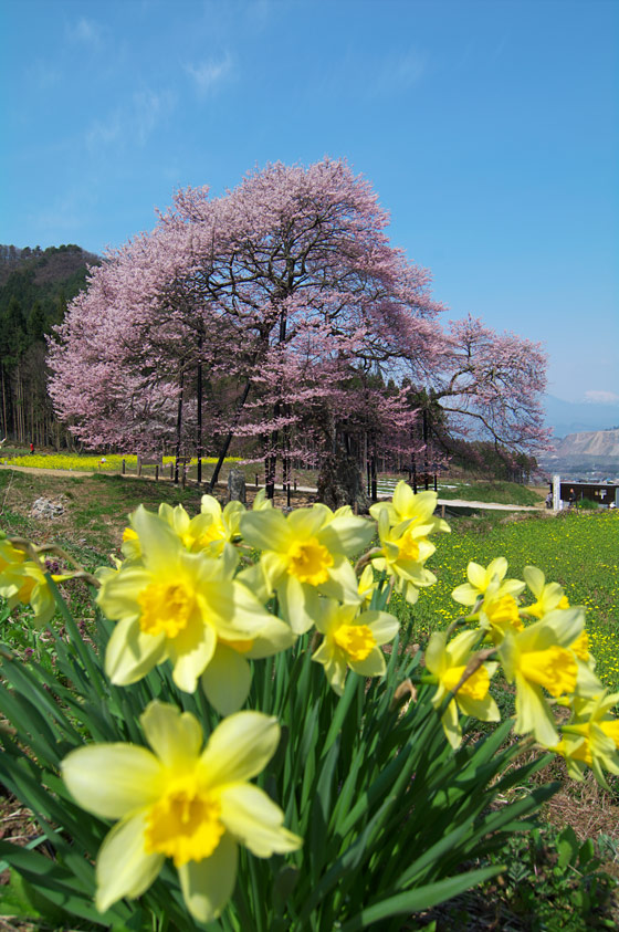 pic1.jpg(133065 byte)