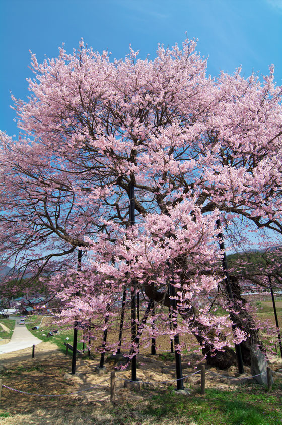 pic1.jpg(133065 byte)