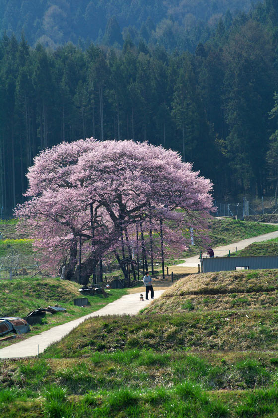 pic3.jpg(98777 byte)