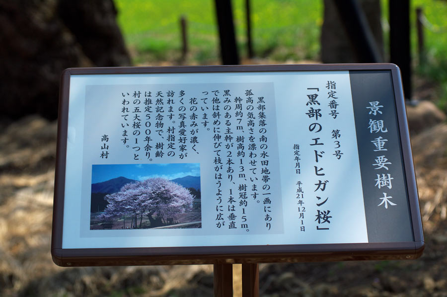 pic4.jpg(135897 byte)